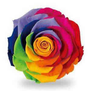 上海鮮花進口報關